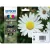 Epson 18 T1806 [MultiPack] eredeti tintapatron